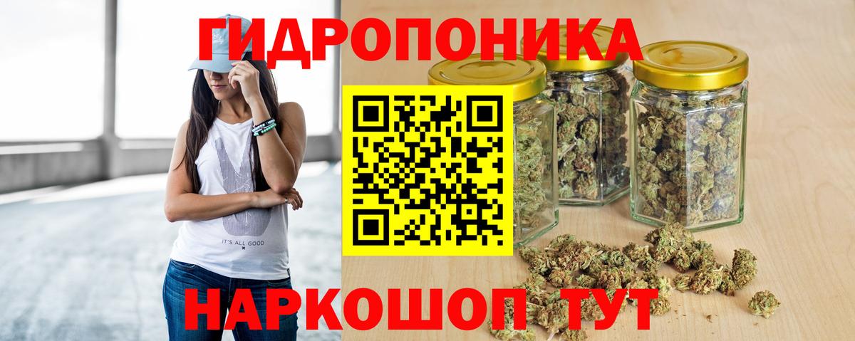 Шишки марихуана сатива Кольчугино